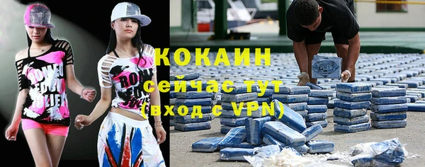 бошки Лагань