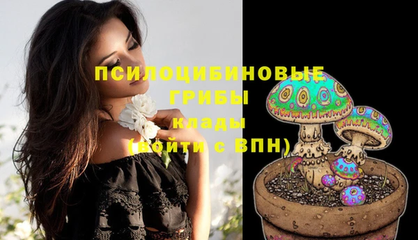 ПСИЛОЦИБИНОВЫЕ ГРИБЫ Красноперекопск